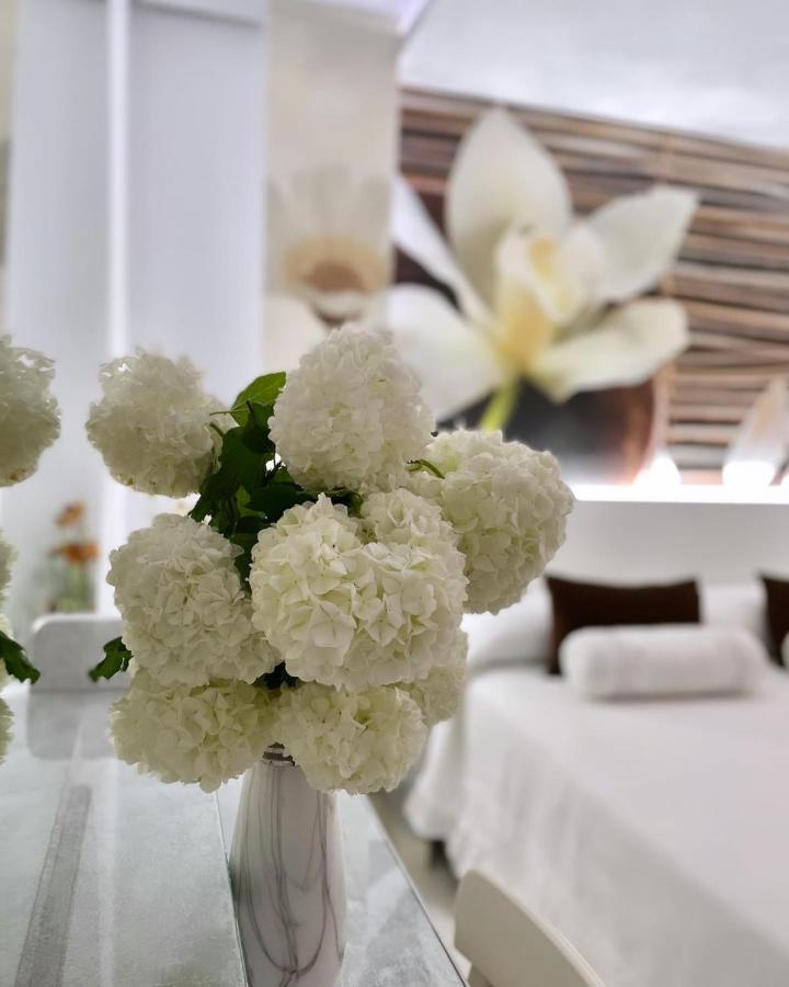 El Jardin Hotel Soto de la Marina Kültér fotó