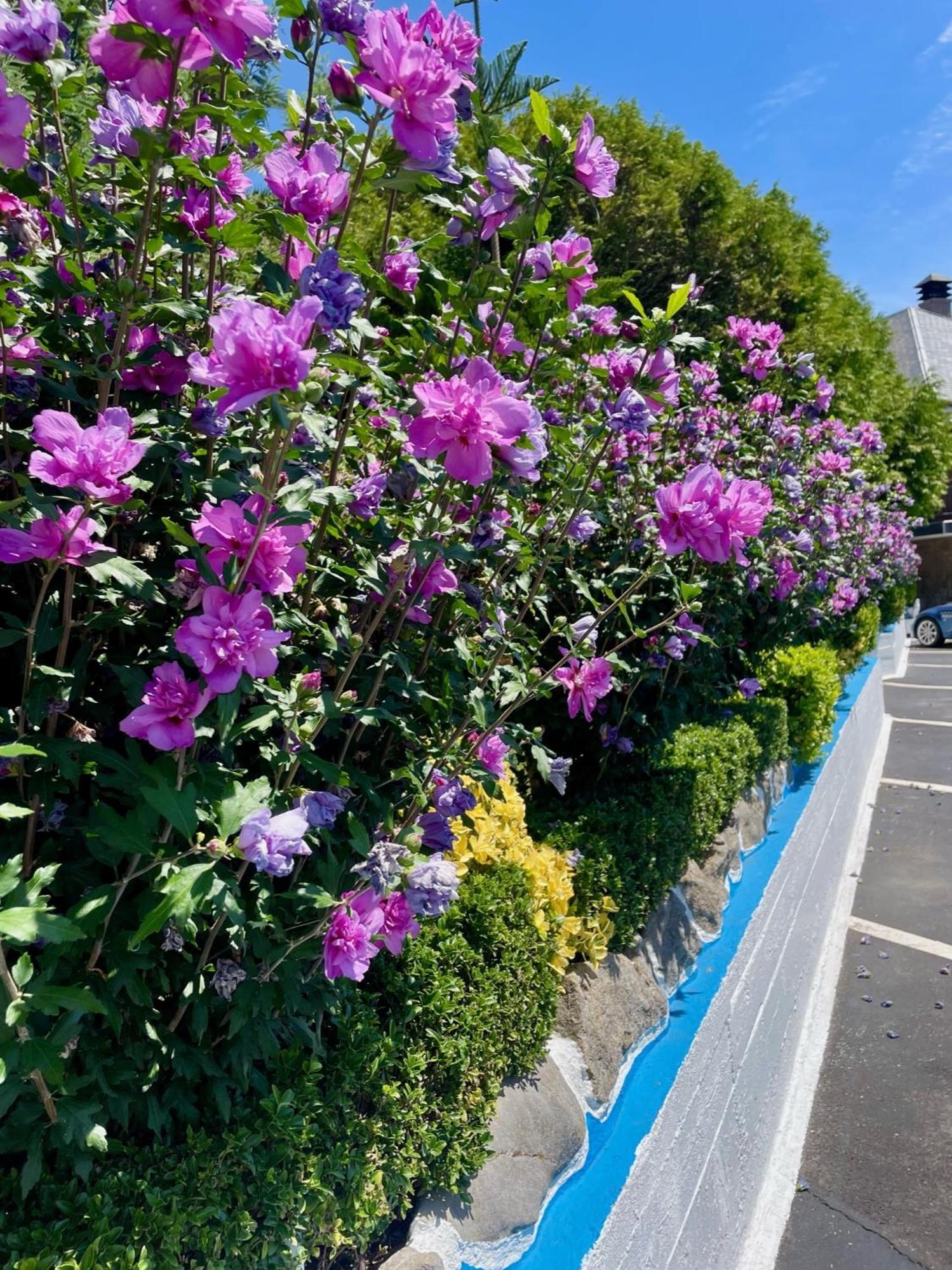 El Jardin Hotel Soto de la Marina Kültér fotó