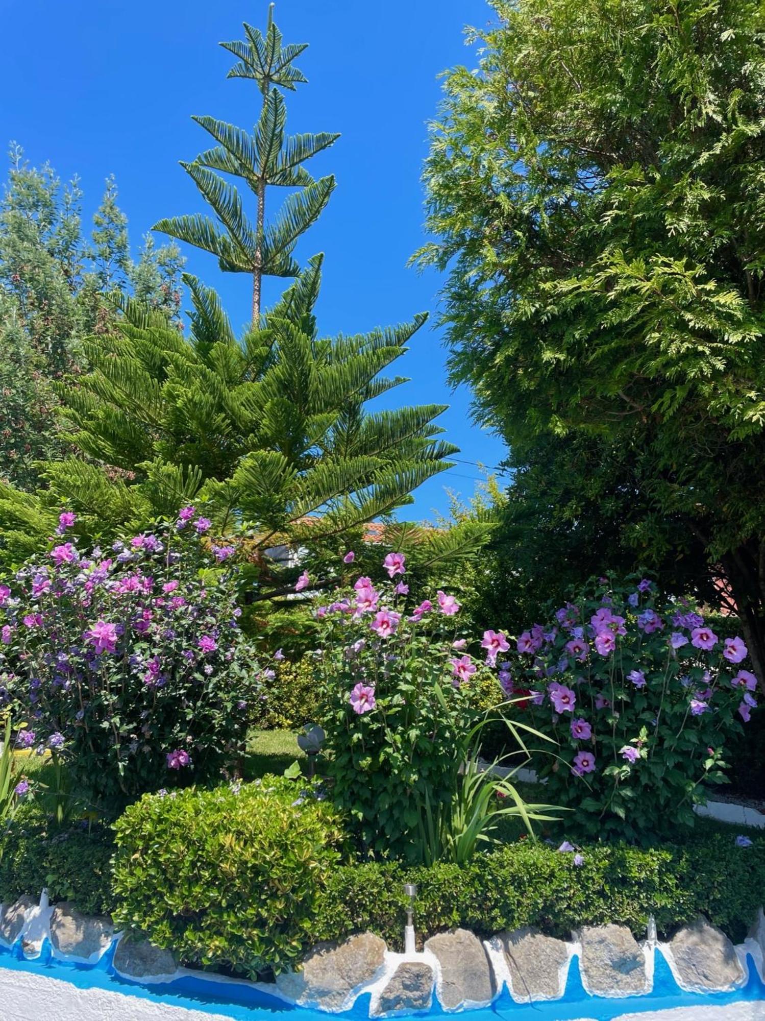 El Jardin Hotel Soto de la Marina Kültér fotó